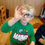 phoca_thumb_m_motlci povoln 14 Fotogalerie
